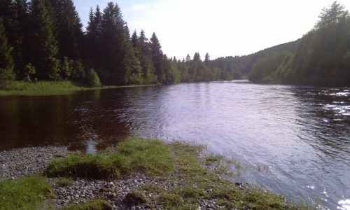 Oversiktsbilde Riisstrokka Farge